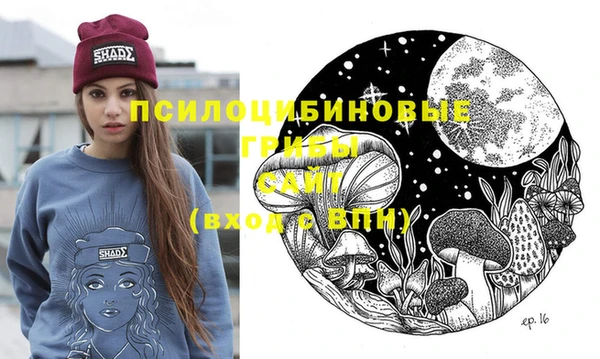 сатива Верхнеуральск