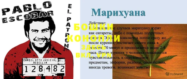 сатива Верхнеуральск