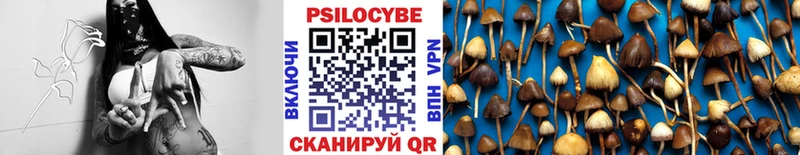 Псилоцибиновые грибы MAGIC MUSHROOMS  Каменка 